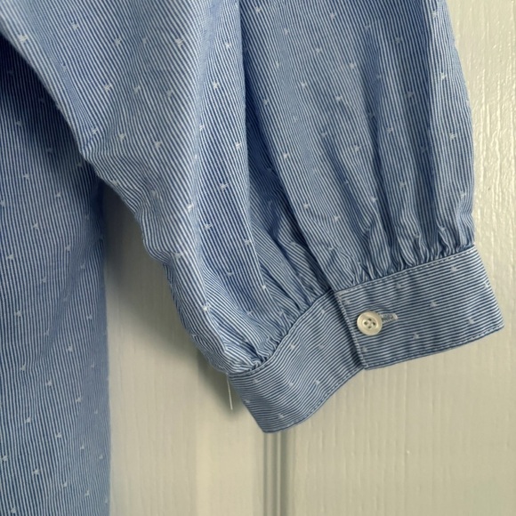 J. McLaughlin Megyn Swiss Dot Stripe Shirt Medium Blue - Picture 4 of 9